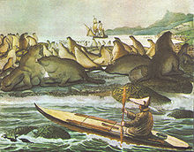 The Russian Rurik, near Saint Paul Island in the Bering Sea. Sealing in the Bering sea led to a diplomatic dispute between the US and Britain in the 1880s, which brought about the first legislative attempts to limit the environmental damage done by the sealers. Drawing by Louis Choris in 1817. Choris, Saint Paul.jpg