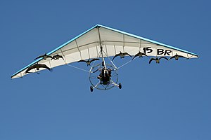 Imprinted Canada geese (Branta canadensis) and common crane (Grus grus) flying with an ultralight aircraft Christian Moullec 4.jpg