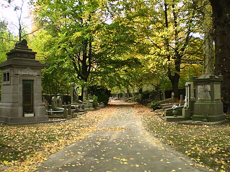 Une allée dans le cimetière de Bruxelles