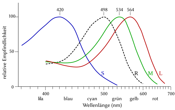 Spektrale Empfindlichkeit der drei Zapfentypen und der Stäbchen in der menschlichen Netzhaut über der Lichtwellenlänge.