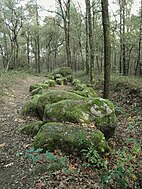 Großsteingrab im Alt-Frerener Forst