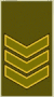 LT-Army-OR6b.gif
