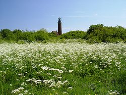 Leuchtturm „Greifswalder Oie“