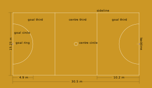 Diagram of netball court. Court is divided into thirds. Dimensions list on diagram. Position listed on diagram.