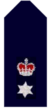 Nsw-police-force-superintendent.png