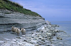 La isla de Osmussaar.