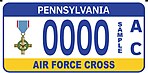 Лицензия PA - Air Force Cross.jpg