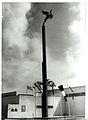 פסל "הגמל המעופף" בכיכר - 1934