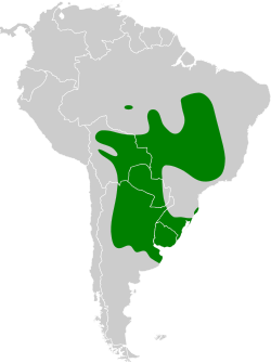 Distribución geográfica de la tacuarita azul.