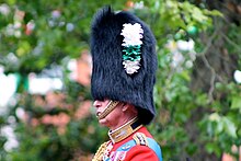 Charles as Colonel of the Welsh Guards, Trooping the Colour, 2012 Prince Charles.JPG