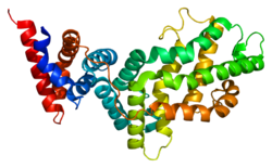 Protein RASA1 PDB 1wer.png