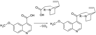 Claisenova kondenzace v rámci Prelogovy přeměny homomerochinenu na chinotoxin