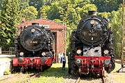 8.–9.  KWDie „Tierklasse“ und die T 20 im Güterbahnhof Rübeland (2012)
