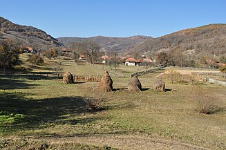 Prăvăleni