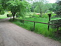 Rietzschkegrund, rechts der überwachsene Teich des Lindenaubachs