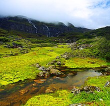 Repuk Makalu Barun Valley Nepal.jpg