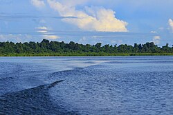 Pemandangan dari Danau Rombebai