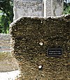 Sams Plantation Complex Tabby Ruins