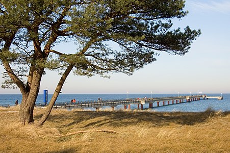 Seebrücke von Osten gesehen