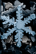 Сніжинка. Низькотемпературна електронна мікроскопія (SEM), псевдокольори