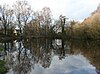 Sound Pond, Sound Heath