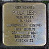 Stolperstein für Paula Less geb. Goetz