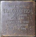 Stolperstein für Lina Goldfisch (Sternengasse 27)