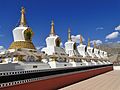 Alignement de Stupas