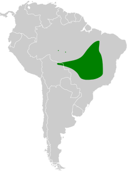 Distribución geográfica del fiofío de la Chapada.