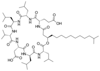 Image illustrative de l’article Surfactine