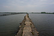 The Dyke in Yangshang Lake 45 2015-04.JPG