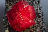 Intense, transparent, strawberry red crystals of rhodochrosite from Colorado's Sweet Home mine.