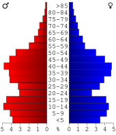 Bevolkingspiramide Lee County