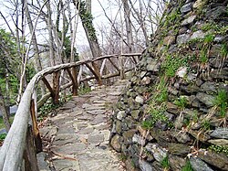 A pathway in Wave Hill Woodland path Wave Hill 3.jpg