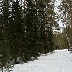 Landscape in Dzerzhinsky District