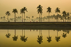 Nijhum Dwip National Park Photograph: Sultan Ahmed Niloy (CC BY-SA 4.0)