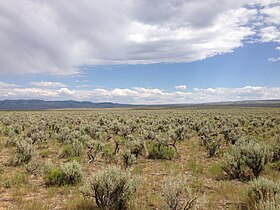 Sagebrush-Steppe in south-central Idaho along Three Creek Road