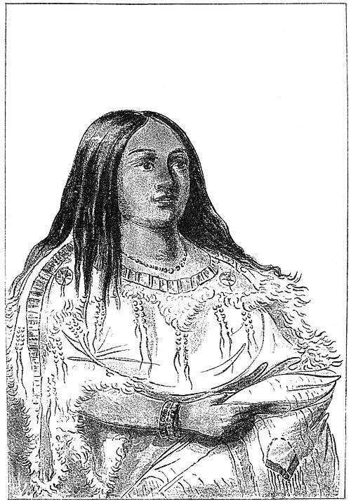Two-thirds-length illustration of a woman in a decorated gown