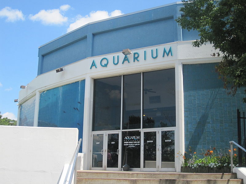 File:Aquarium at Niagara Falls IMG 1390.JPG