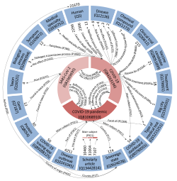 graphical overview