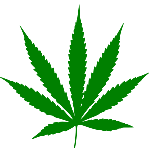 Leaf of Cannabis עברית: עלה של קנביס