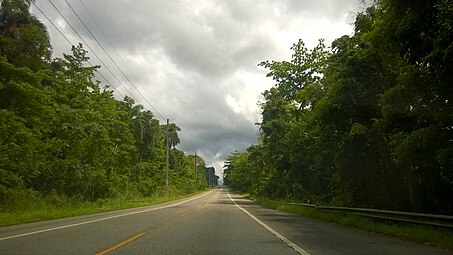 Puerto Rico Highway 149 in Río Arriba Saliente barrio