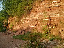 Mercia Mudstone formation at Gunthorpe Cliffs at the south end of Gunthorpe weir - geograph.org.uk - 629291.jpg