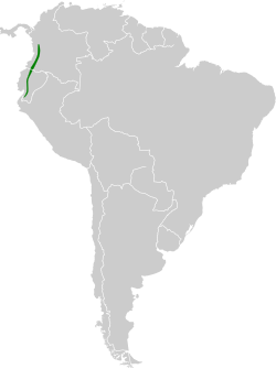 Distribución de Coeligena wilsoni