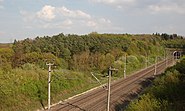 Hang um den Burgstall von der Bahnüberführung im Westen