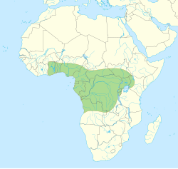 Distribución de la mamba de Jameson