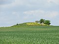 Vorschaubild der Version vom 19:53, 13. Mai 2018