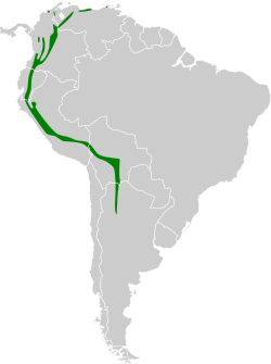 Distribución geográfica del pinchaflor ferrugíneo.