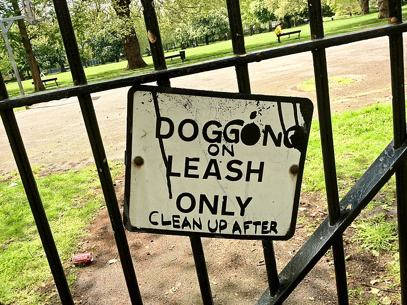 800px-Dogging_on_a_Leash_Only.jpg