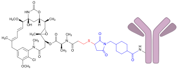 Struktur von Trastuzumab-Emtansin
